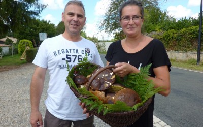 Première poussée de cèpes