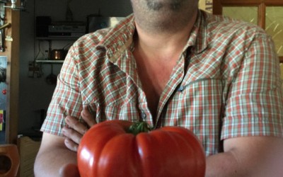 Une tomate de 1,185 kg !