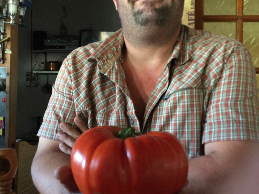 Une tomate de 1,185 kg !